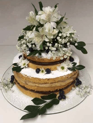 Naked Cake